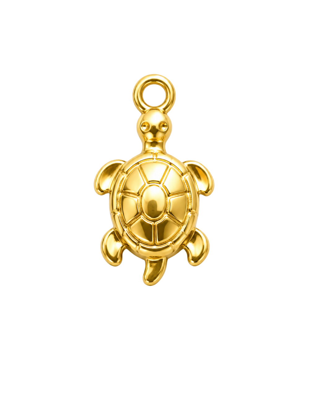 Little Turtle Charm