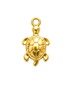 Little Turtle Charm
