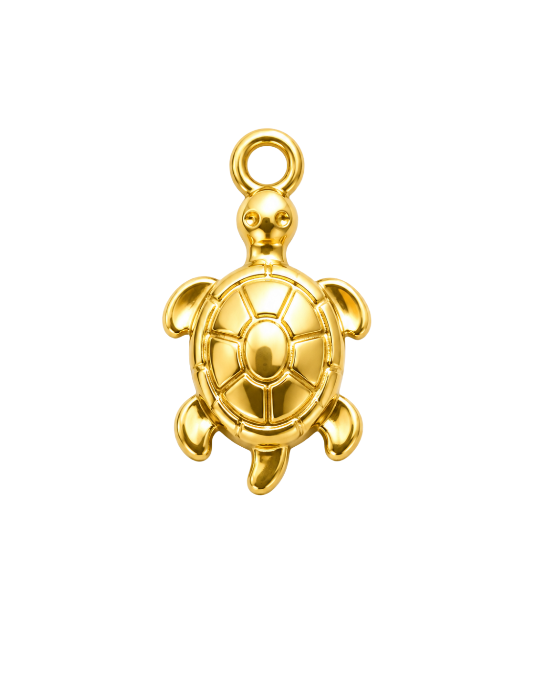 Little Turtle Charm