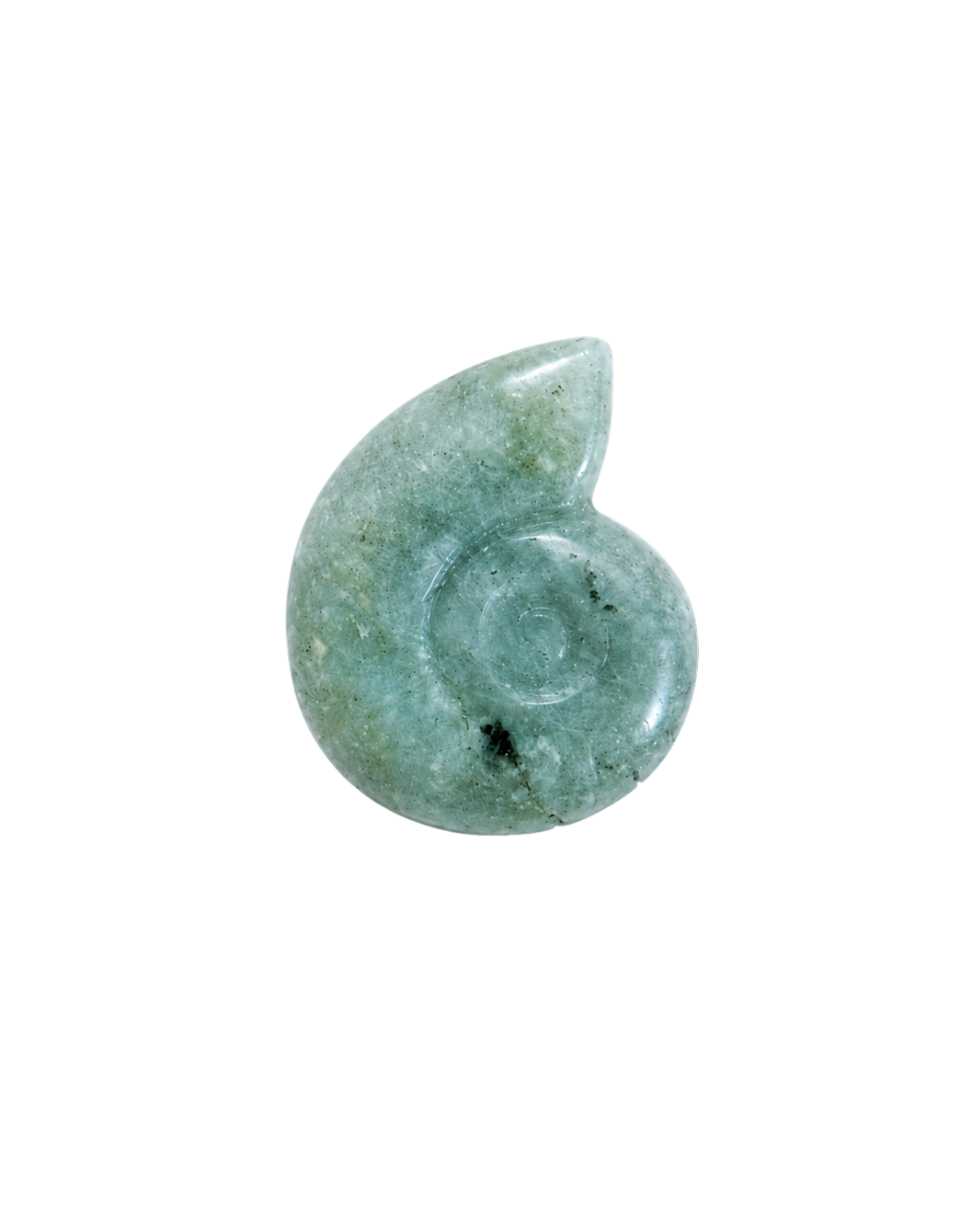 Jade Ammonite Charm