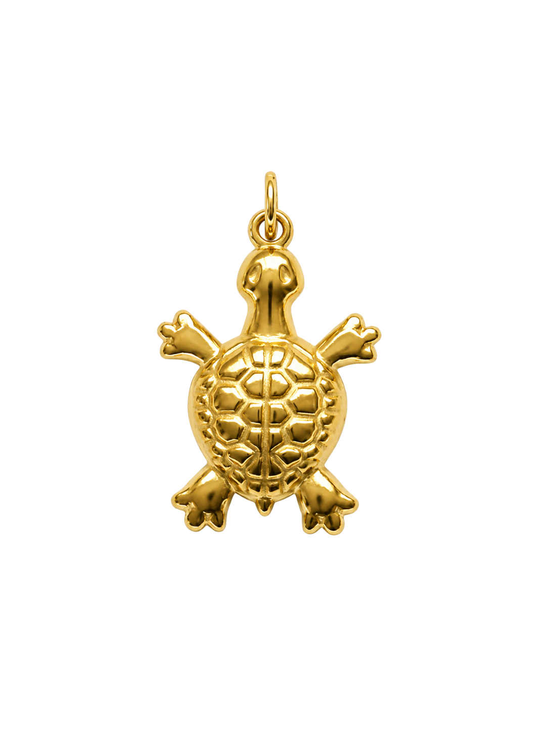 Golden Turtle Charm